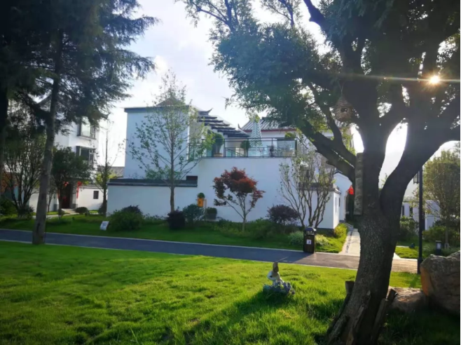 1587019938127976.png image.png