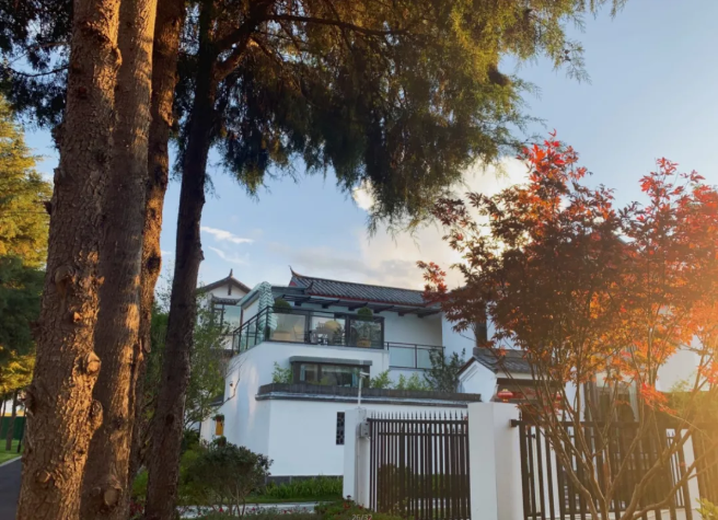 1587019954125394.png image.png